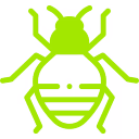 Bedbugs Pest Control