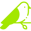Birds Pest Control