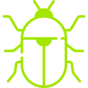 Carpet Beetles Pest Control