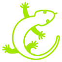 House Lizards Pest Control
