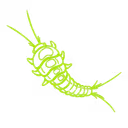 Silverfish Pest Control