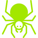 Spiders Pest Control