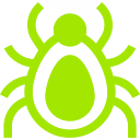 Ticks Pest Control