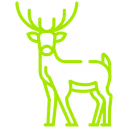 Wild Life Pest Control